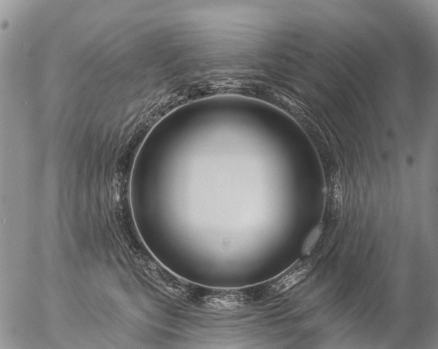 X0000057090567200509161632