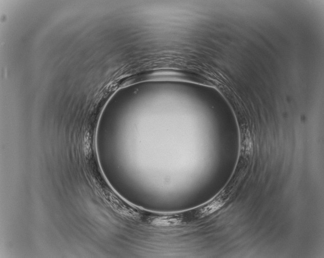 X0000057090568200509161632