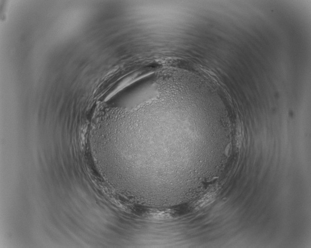 X0000057090569200509161632