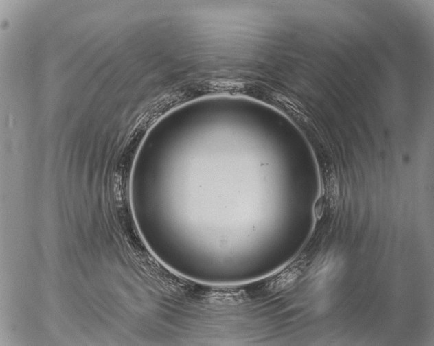 X0000057090571200509161632