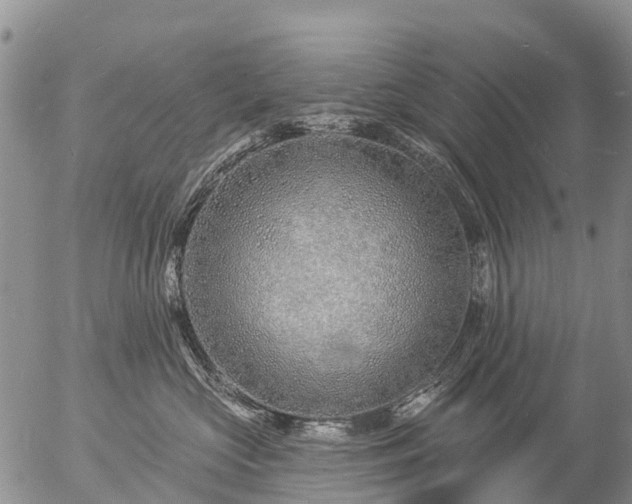 X0000057090573200509161632