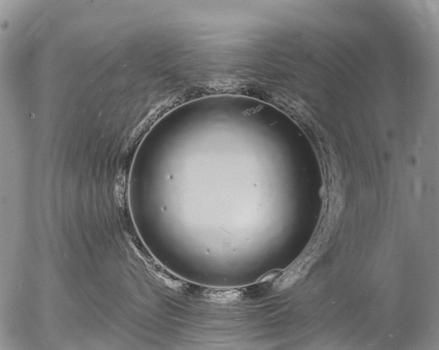 X0000057090576200509161632