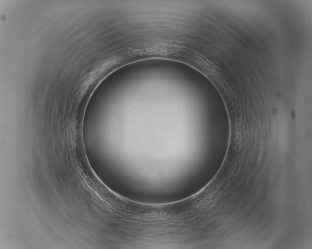 X0000057090578200509161631