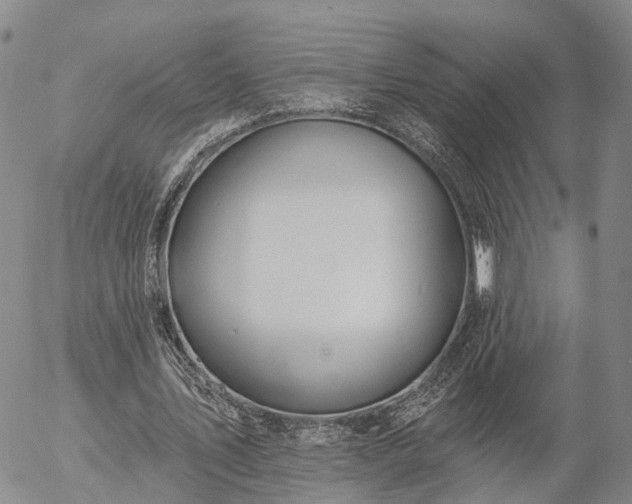 X0000057090579200509161631