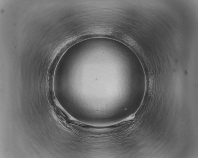 X0000057090580200509161631