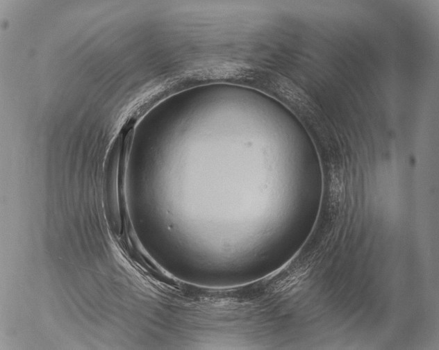 X0000057090582200509161631