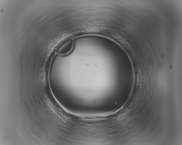 X0000057090584200509161631