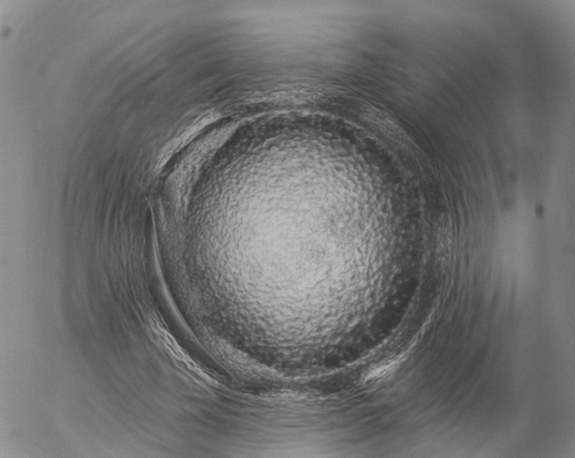 X0000057090585200509161631