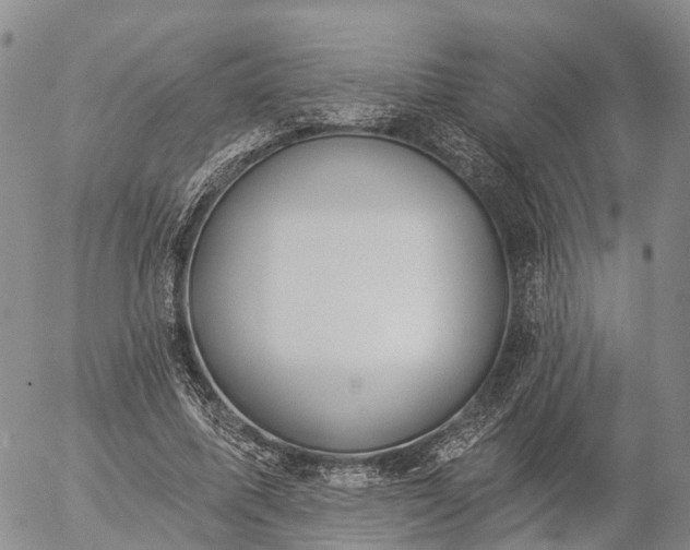 X0000057090587200509161631