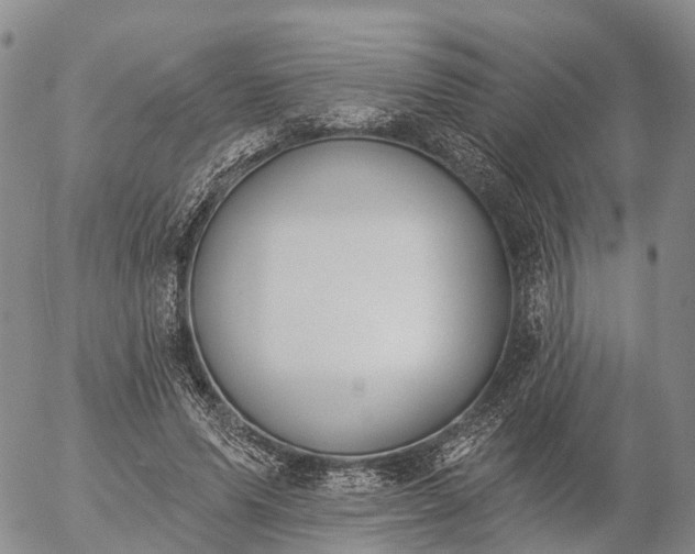 X0000057090591200509161631