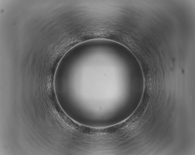 X0000057090593200509161631