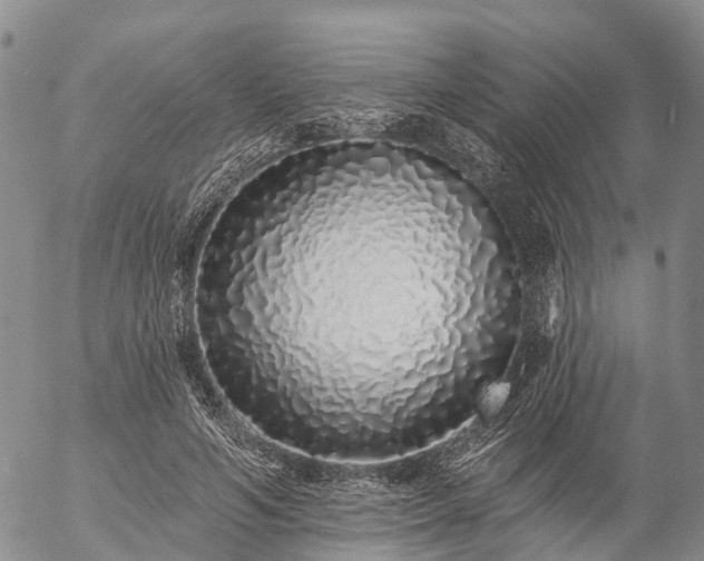 X0000057090594200509161631