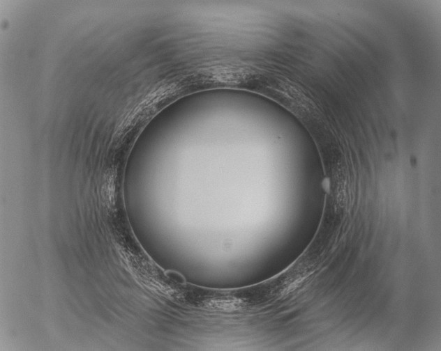 X0000057090595200509161631