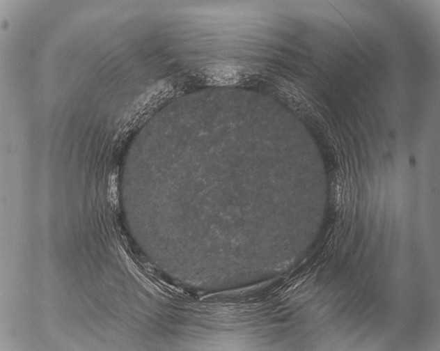 X0000057090598200509161631