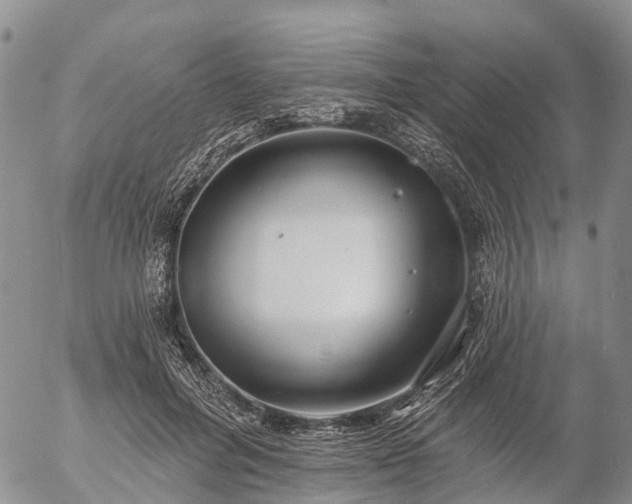 X0000057090600200509161631