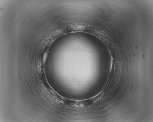 X0000057090604200509161631