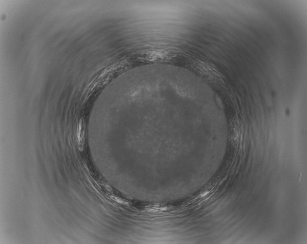 X0000057090607200509161631