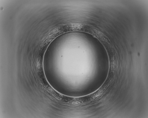 X0000057090608200509161631