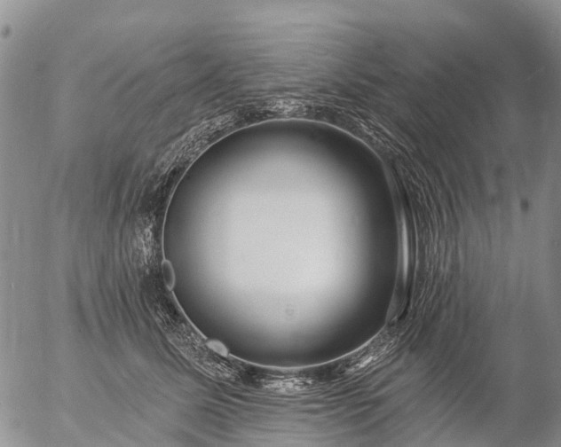 X0000057090611200509161631