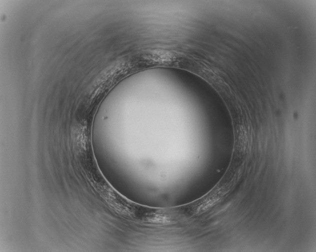 X0000057090612200509161631