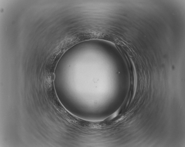 X0000057090613200509161631