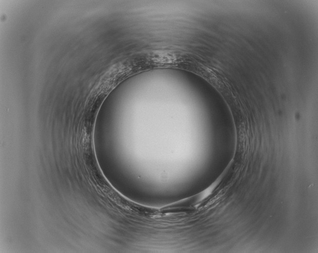 X0000057090614200509161631