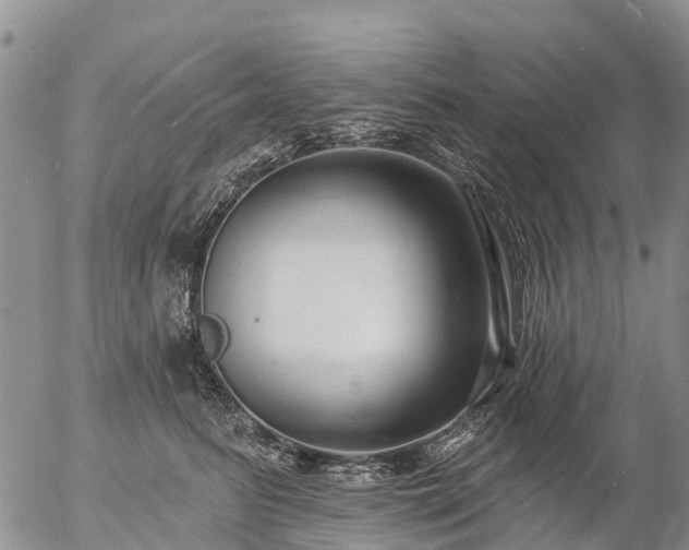 X0000057090615200509161631