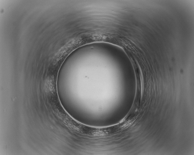 X0000057090616200509161631