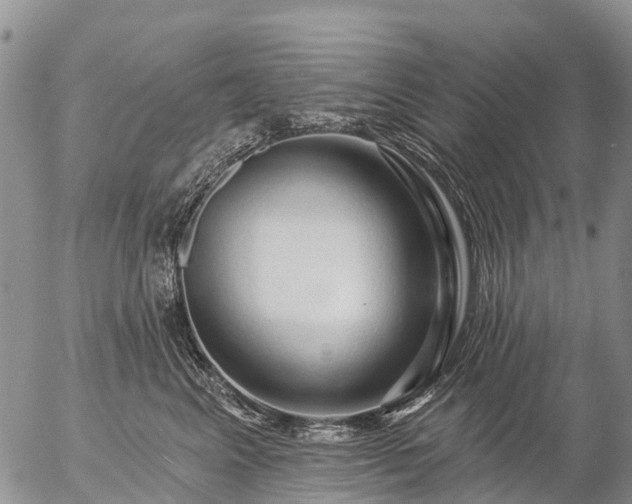 X0000057090617200509161631