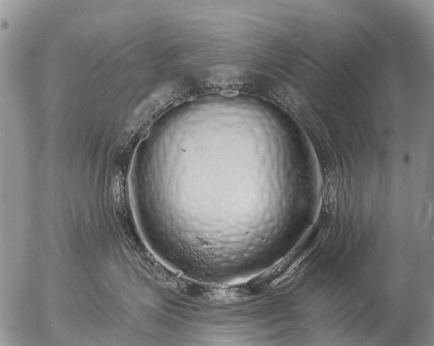 X0000057090623200509161631