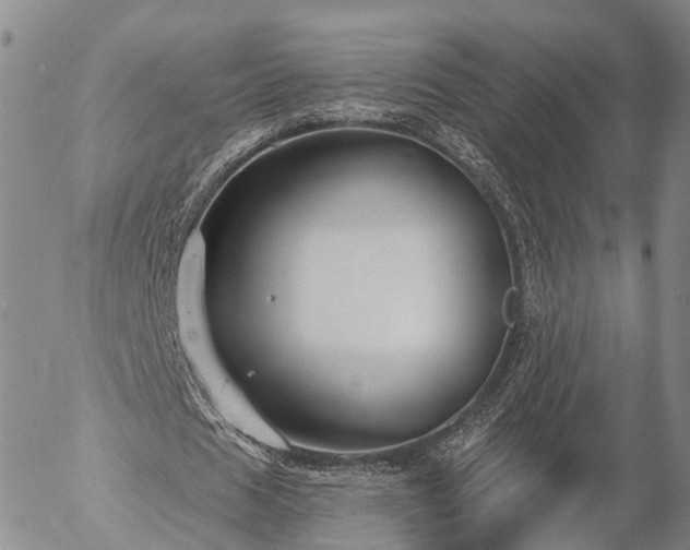 X0000057090625200509161630