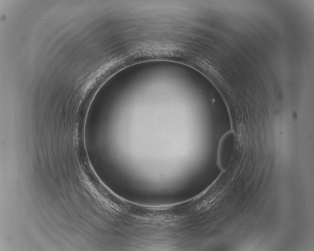 X0000057090629200509161630