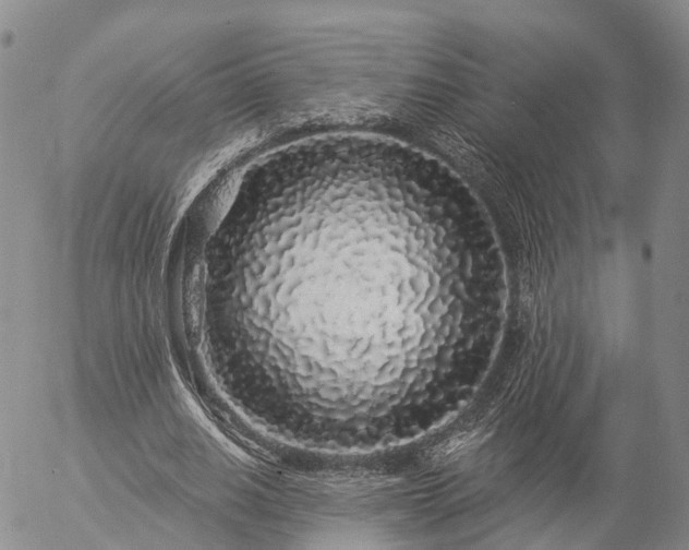 X0000057090630200509161630