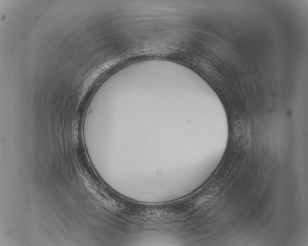 X0000057090632200509161630