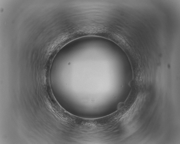 X0000057090635200509161630