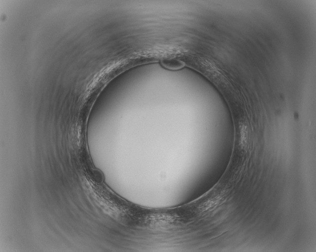 X0000057090636200509161630