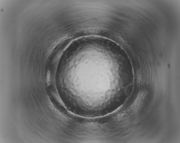 X0000057090637200509161630