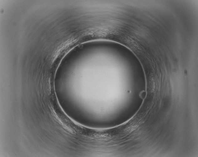 X0000057090638200509161630