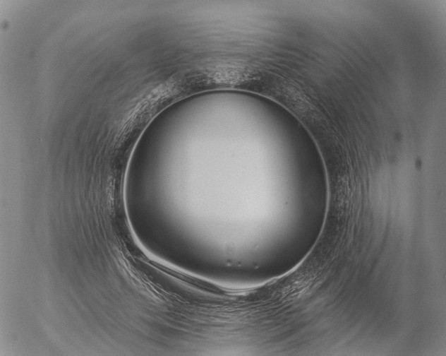 X0000057090639200509161630