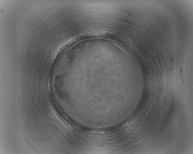 X0000057090640200509161630