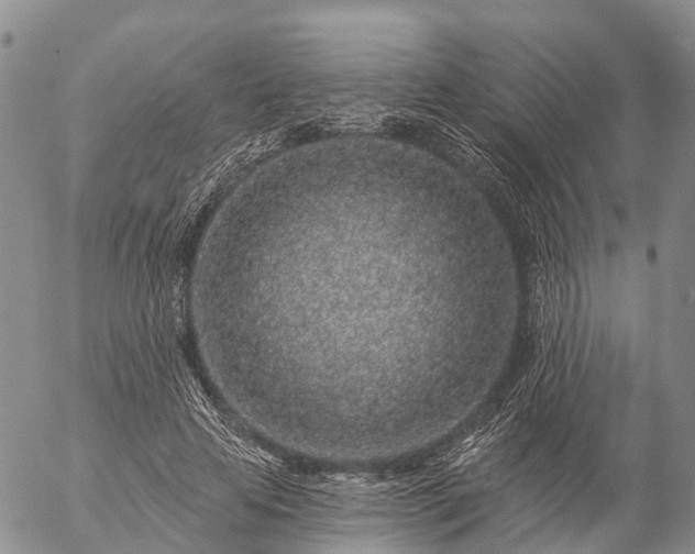 X0000057090641200509161630