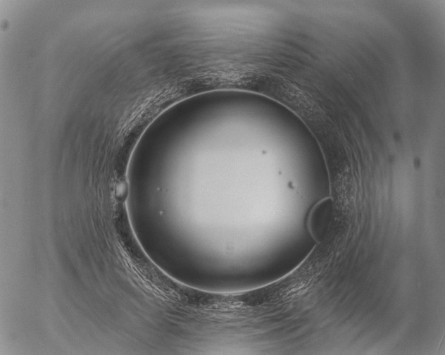 X0000057090642200509161630