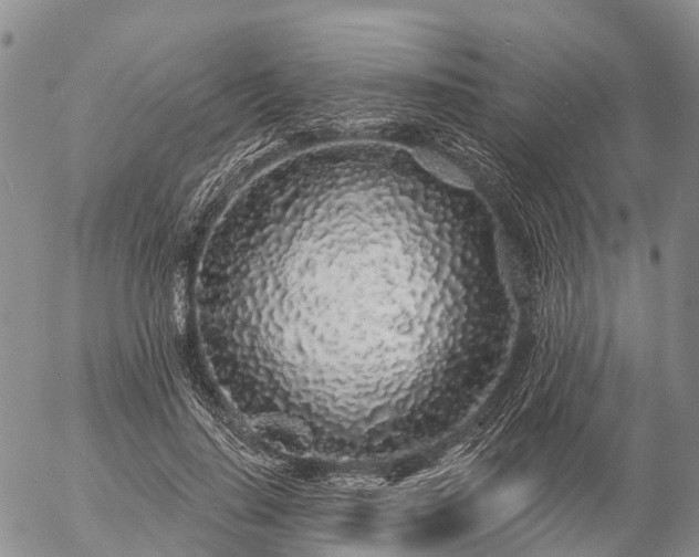 X0000057090644200509161630