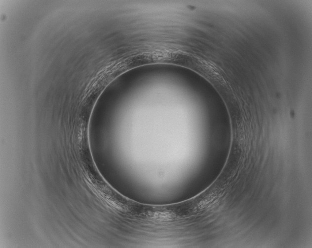 X0000057090645200509161630