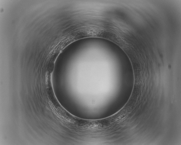 X0000057090646200509161630