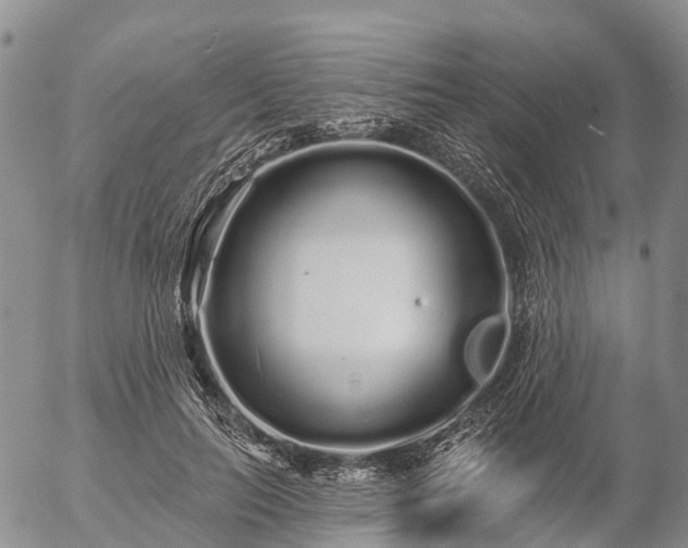 X0000057090647200509161630