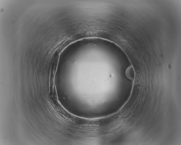 X0000057090648200509161630