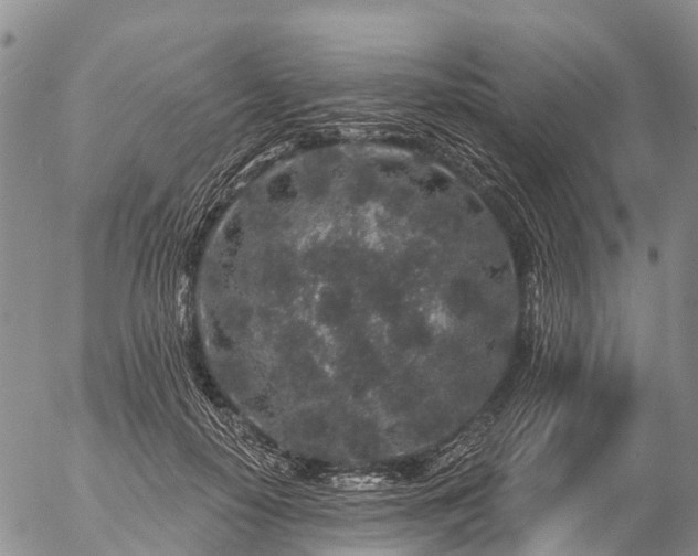 X0000057090650200509161630