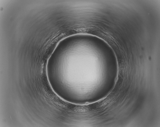 X0000057090652200509161630