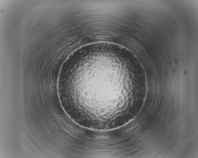 X0000057090653200509161630